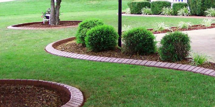 mencegah serangan nyamuk